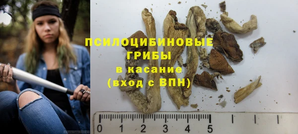 PSILOCYBIN Армянск