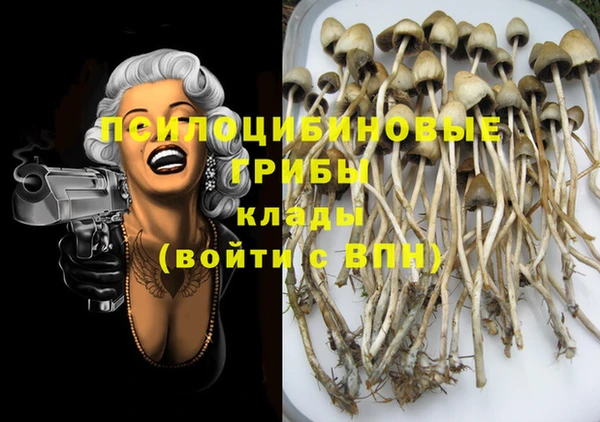 не бодяженный Аркадак