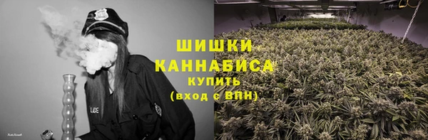 PSILOCYBIN Армянск